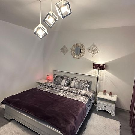 Etoile Studio Брашов Экстерьер фото